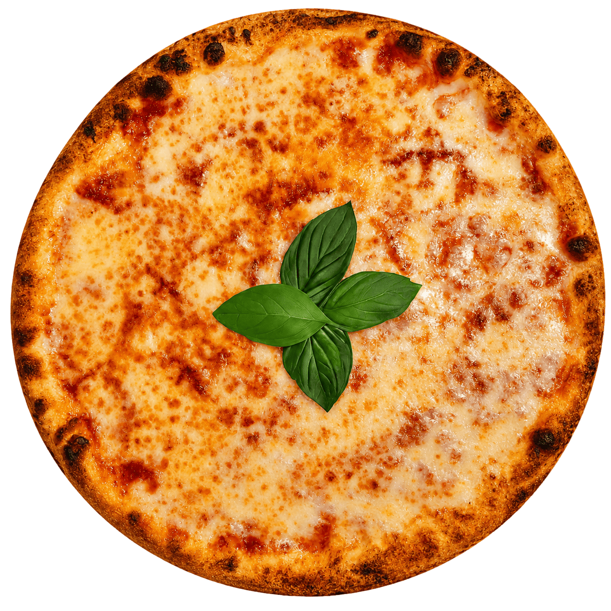 Margherita